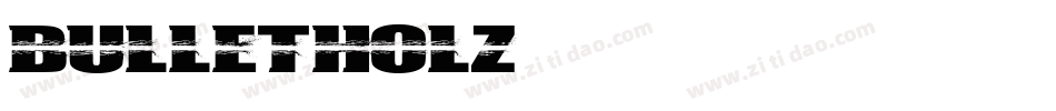 BulletHolz字体转换