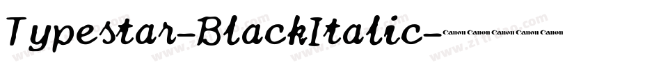 Typestar-BlackItalic字体转换