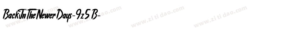 BackInTheNewerDays-9z5B字体转换