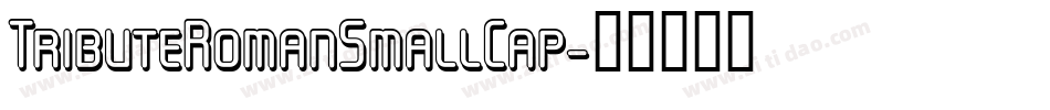 TributeRomanSmallCap字体转换