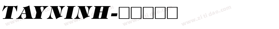 TAYNINH字体转换