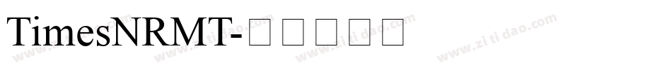 TimesNRMT字体转换