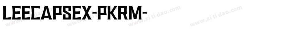 LeecapsEx-PKRm字体转换