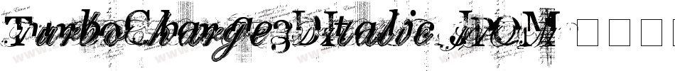 TurboCharge3DItalic-JPOM字体转换