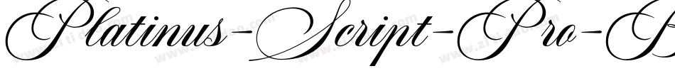 Platinus-Script-Pro-Bold字体转换