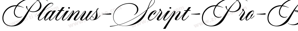 Platinus-Script-Pro-Bold字体转换