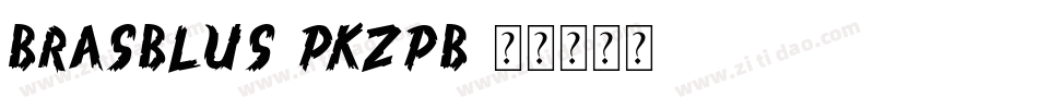 Brasblus-PKZpB字体转换