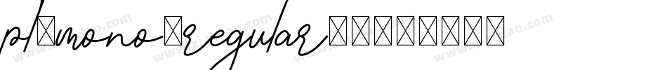 pt-mono-regular-2字体转换