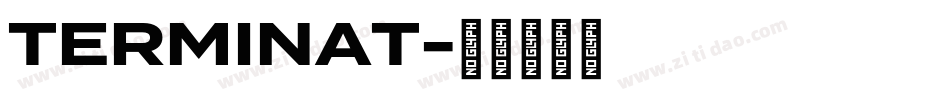 TERMINAT字体转换