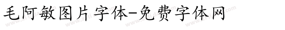 毛阿敏图片字体字体转换