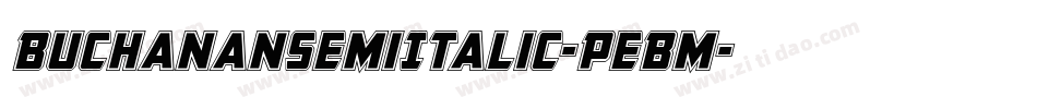 BuchananSemiItalic-PeBm字体转换