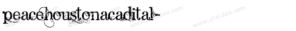 peacehoustonacadital字体转换