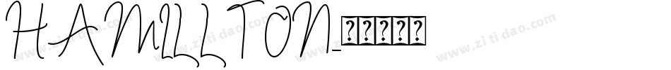 HAMILLTON字体转换
