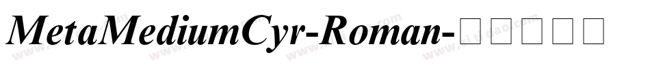 MetaMediumCyr-Roman字体转换