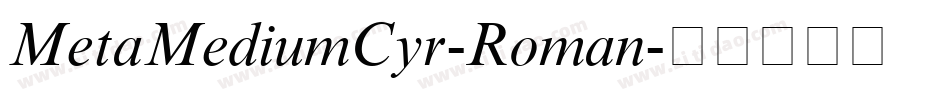 MetaMediumCyr-Roman字体转换
