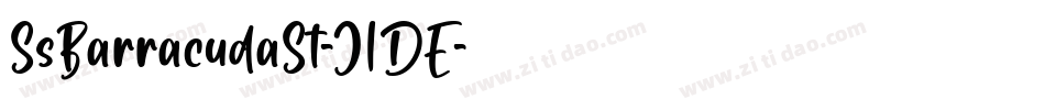 SsBarracudaSt-J1DE字体转换