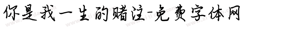 你是我一生的赌注字体转换