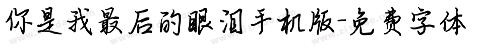 你是我最后的眼泪手机版字体转换