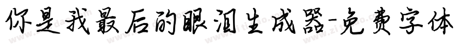 你是我最后的眼泪生成器字体转换