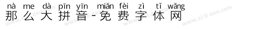 那么大拼音字体转换