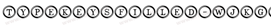 TypeKeysFilled-WJKG字体转换