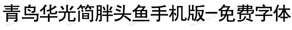 青鸟华光简胖头鱼手机版字体转换