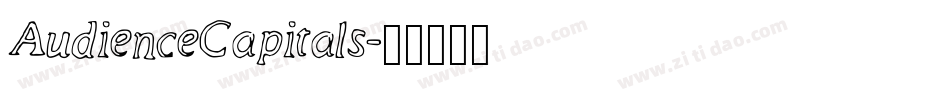 AudienceCapitals字体转换