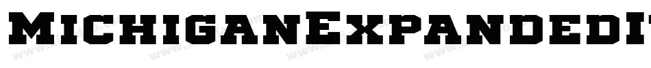 MichiganExpandedItalic-mwVj字体转换