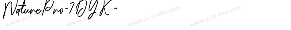 NaturePro-7DYK字体转换