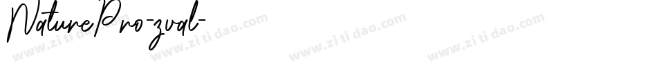 NaturePro-zval字体转换