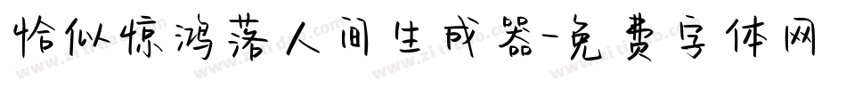 恰似惊鸿落人间生成器字体转换