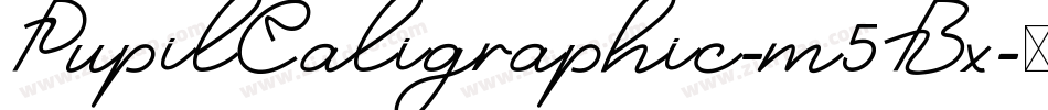 PupilCaligraphic-m5Bx字体转换