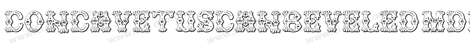 ConcavetuscanBeveled-MdmY字体转换