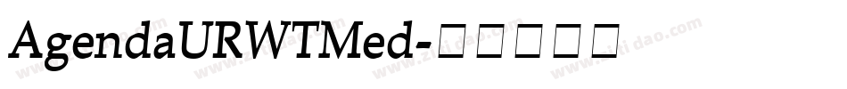 AgendaURWTMed字体转换