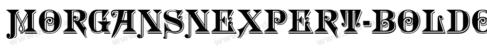 MorganSnExpert-BoldOblique字体转换