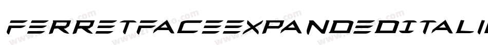 FerretFaceExpandedItalic-qgR0字体转换