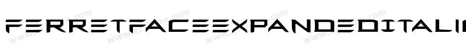 FerretFaceExpandedItalic-qgR0字体转换