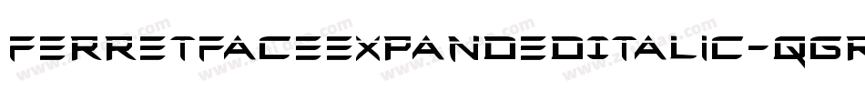 FerretFaceExpandedItalic-qgR0字体转换