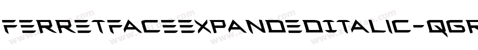 FerretFaceExpandedItalic-qgR0字体转换