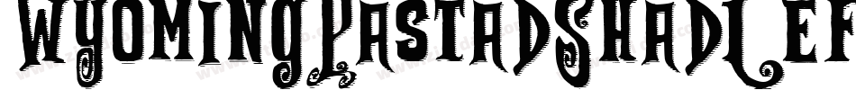 WyomingPastadShadLeft字体转换