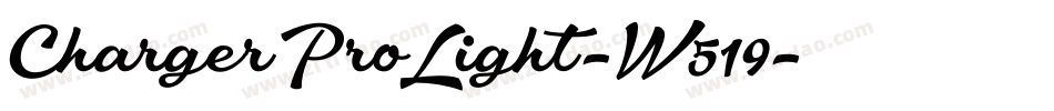 ChargerProLight-W519字体转换