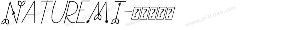 NatureMT字体转换