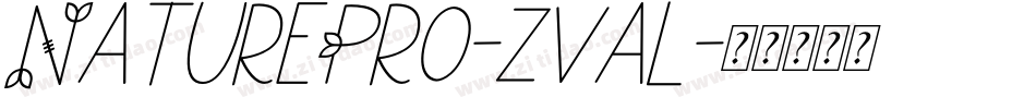 NaturePro-zval字体转换