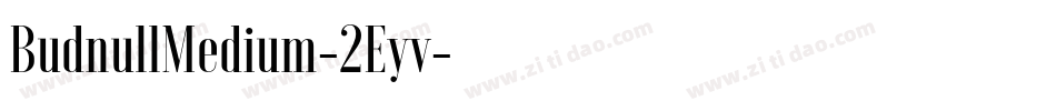 BudnullMedium-2Eyv字体转换