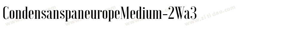CondensanspaneuropeMedium-2Wa3字体转换