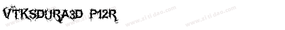 VtksDura3D-P12r字体转换