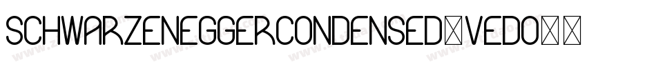 SchwarzeneggerCondensed-vEdO字体转换