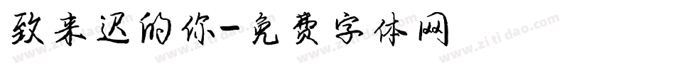 致来迟的你字体转换