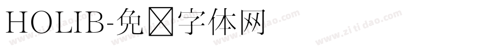 HOLIB字体转换