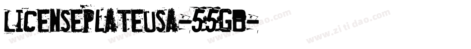 LicensePlateUsa-55gB字体转换